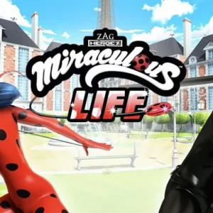 Общий вид игры Miraculous Life
