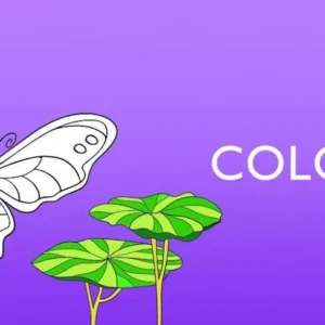 Раскраска Colorfy с изображением мандалы